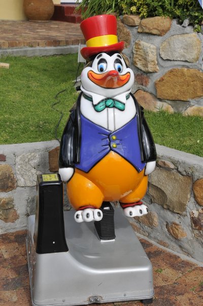 20090820072643 - Molting African Penguin Close-Up