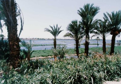 Luxor Nile River