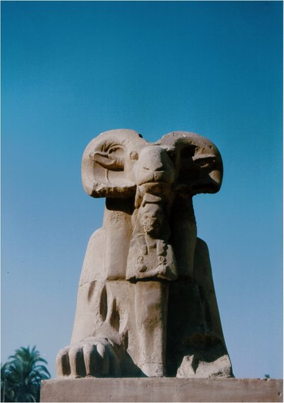 Ram'S Head
